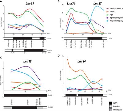 Functionally distinct regions of the locus Leishmania major response 15 control IgE or IFNγ level in addition to skin lesions